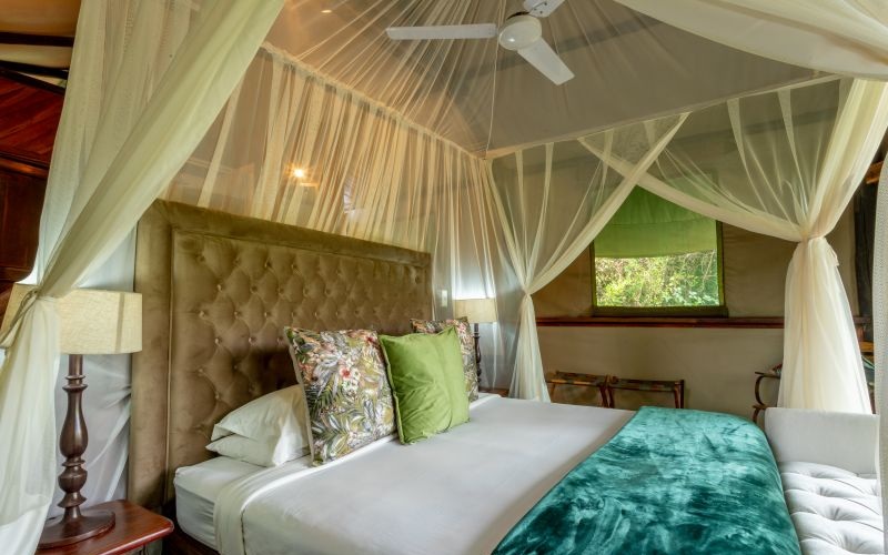 TintswaloSiankaba-Room5